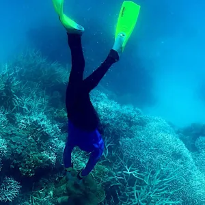 تحذير من خطر يهدد الشعاب المرجانية في العالم