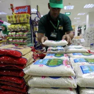 مصر تكشف عن الموقف الحالي للسكر والقمح وخطتها في 2024