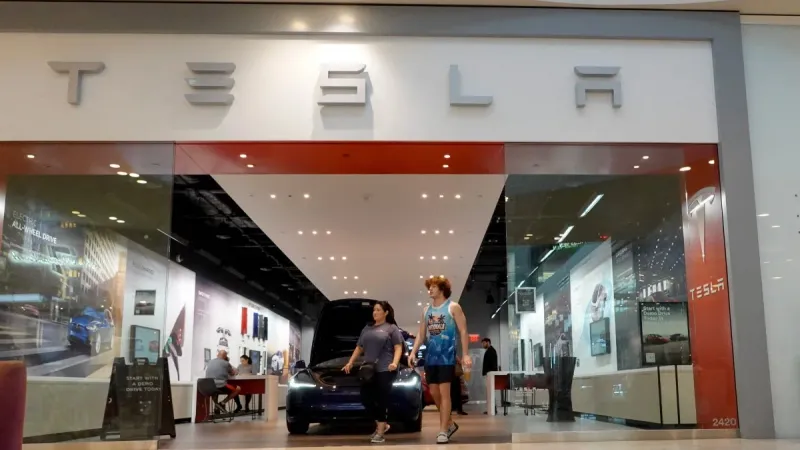 Tesla ترفع دعوى قضائية ضد شركة هندية وتتهمها بانتهاك علامتها التجارية