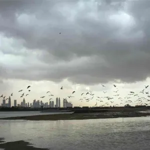 توقعات بمنخفض جوي متوسط على الإمارات يبدأ 22 أبريل