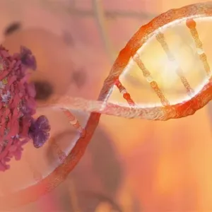 اكتشاف جينات جديدة لسرطان الثدي قد تحسن التنبؤ بالمرض