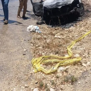 قتيل بغارة إسرائيلية استهدفت سيارة على طريق عام ببلدة سلعا في جنوب لبنان (صور + فيديو)