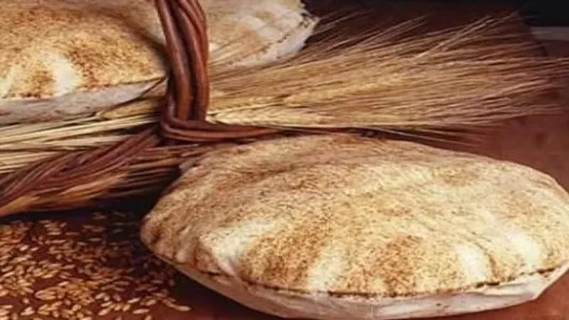 منتجات القمح في قفص الاتهام.. كيف أصبح الخبز مادة سامة؟