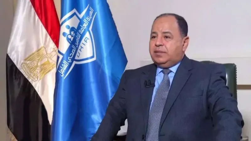وزير المالية: حريصون على توطين صناعة السيارات في مصر