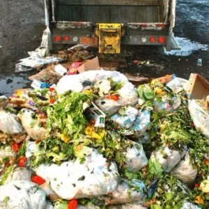 المغاربة يلقون أكثر من 4 ملايين طن من الأغذية في القمامة وتحرك برلماني لزجر إهدار الطعام