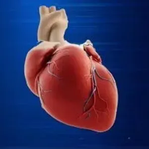 ما هو اختبار الخطوة؟ وكيفية استخدامه لتحديد صحة القلب والرئة