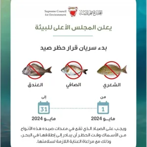 "الأعلى للبيئة" يعلن بدء سريان حظر صيد أسماك الشعري والصافي والعندق ابتداء من يوم غد