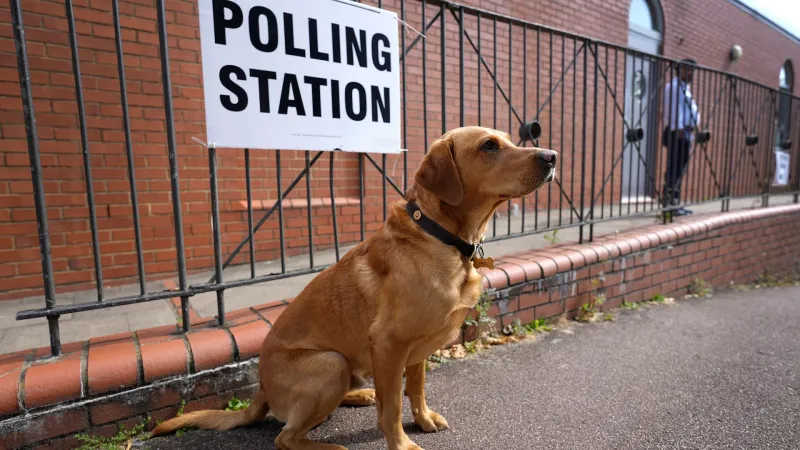 أمام مكاتب التصويت البريطانية ناخبون وكلابٌ أيضا.. مواقع التواصل تحتفي بالحدث