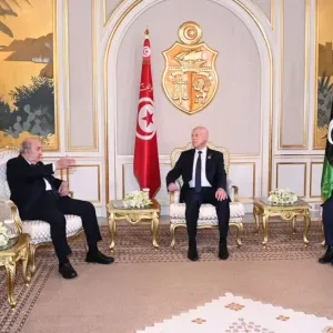 خبراء يقرأون مخرجات الاجتماع التشاوري الثلاثي بتونس