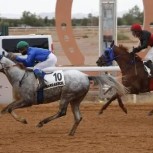 كأسا زايد والشيخة فاطمة للخيول في ضيافة مراكش