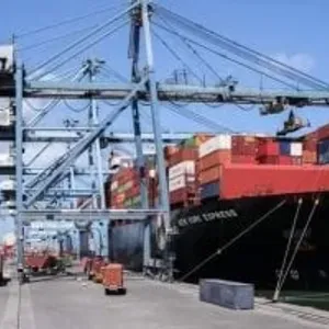 ميناء دمياط يستقبل 63000 طن قمح لصالح هيئة السلع التموينية