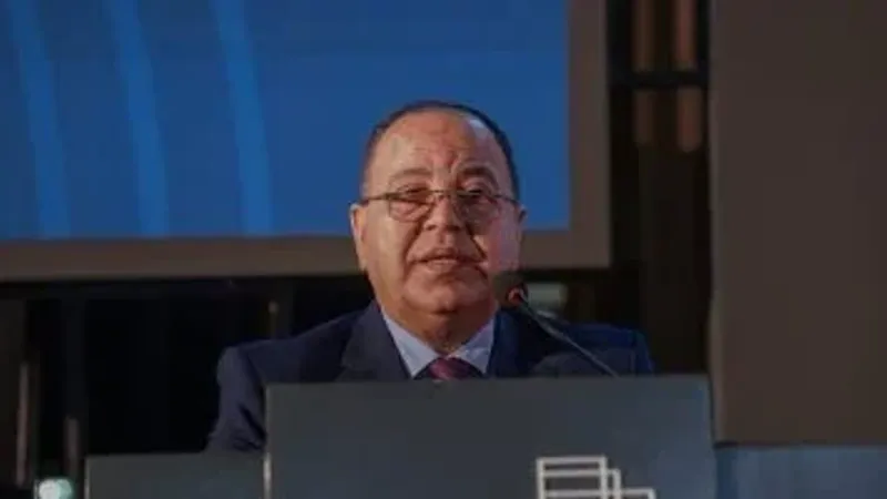 وزير المالية: الاقتصاد المصرى بدأ فى استعادة ثقة مؤسسات التصنيف الدولية