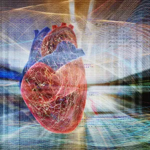 دراسة: المساحات الخضراء والزرقاء تحافظ على صحة القلب
