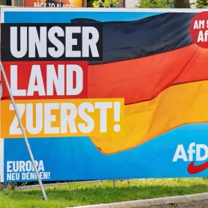 استطلاع: خمس الألمان يؤيدون حزب البديل بالانتخابات الأوروبية