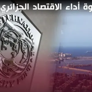 بيجاني: قوة أداء الاقتصاد الجزائري يعزز موقفها داخل صندوق النقد الدولي