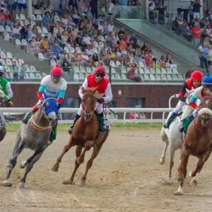 كأس الوثبة للخيول العربية.. تتويج الفائزين في 3 سباقات ببريطانيا وبولندا وإيطاليا