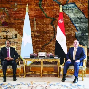 مصر تشدد على أهمية أمن واستقرار الصومال
