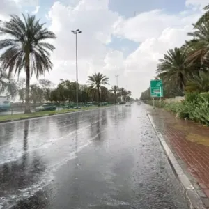 «الأرصاد» ينبه من أمطار على محافظة العرضيات