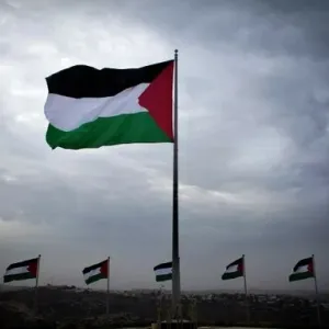 رئيس بعثة الجامعة العربية: نعمل لضمان حصول فلسطين على عضوية بالأمم المتحدة