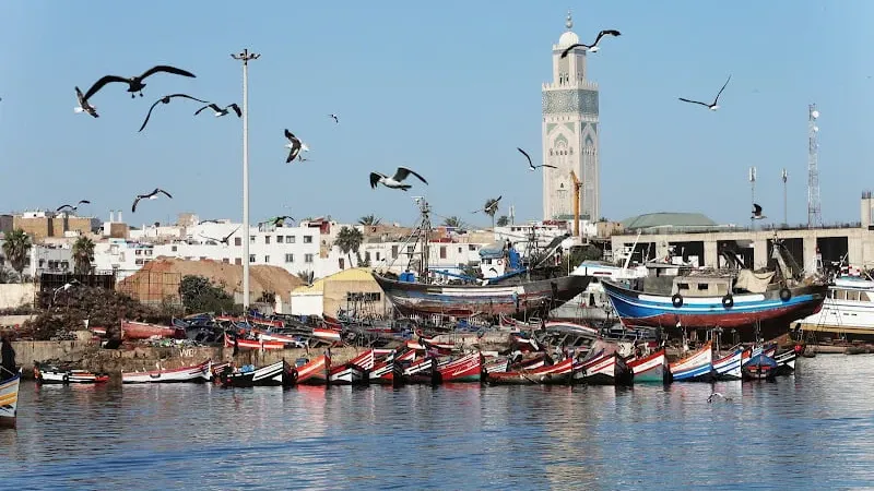 المغرب يجدد تدابير محاربة الممارسات غير القانونية في التعامل مع سفن الصيد