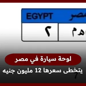 «م هـ م- 2».. لوحة سيارة في مصر يتخطى سعرها 12 مليون جنيه