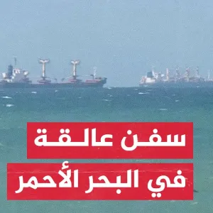 شاهد| توقف عشرات السفن العابرة للبحر الأحمر في المياه الإقليمية لجيبوتي