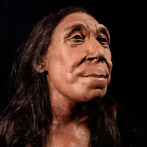 الكشف عن وجه امرأة "نياندرتال" عمرها 75 ألف عام
