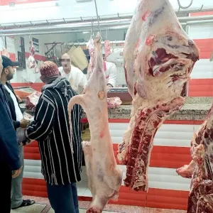 حركية بيع اللحوم الحمراء تعود الأسبوع المقبل وسط مخاوف من ارتفاع الأسعار