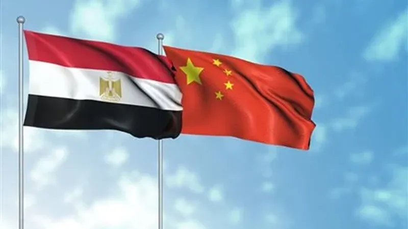 اهتمام صيني بالاستثمارات في الصناعات المعدنية والكيماوية والأدوية بمصر