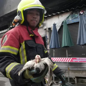 شاهد: حريق يفتك بمئات الحيوانات في سوق بتايلاندا