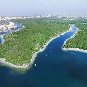 خبراء: مبادرات الإمارات البيئية تقلل من تداعيات التغير المناخي