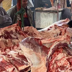 أسعار اللحوم الحمراء بالتقسيط تبلغ مستويات قياسية بالأسواق المغربية