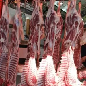 أسعار اللحوم البلدية والمستوردة اليوم الثلاثاء 30 أبريل 2024