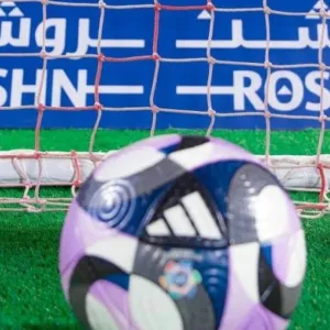 3 مليارات ريال العوائد المالية لشركاء أندية دوري "روشن" التجاريين