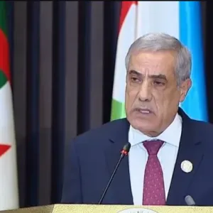الوزير الأول يستقبل رئيس مجلس التجديد الإقتصادي الجزائري