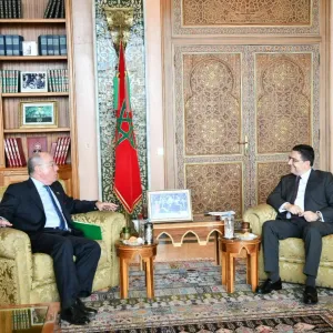 بوريطة: المغرب والبرازيل يتقاسمان نفس الرؤية المشتركة لنظام دولي متوازن وتعاون جنوب-جنوب أكثر طموحا