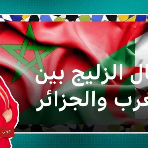 الجزائر والمغرب.. تصريحات حول الزليج تعيد السجال حول التراث إلى الواجهة