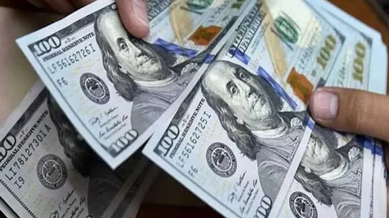 سعر الدولار مقابل الجنيه المصري في مصر اليوم الأحد 5-5-2024