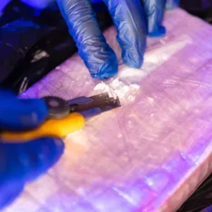 "مُخبأة بطريقة ماكرة"..شاهد: إحباط تهريب أكثر من 27 كيلو من مادة الكوكايين عُثر عليها في إرسالية بطاطس في ميناء جدة
