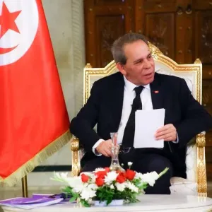 تونس حريصة على دعم مجالات التعاون مع برنامج الأمم المتحدة الإنمائي ( أحمد الحشاني )