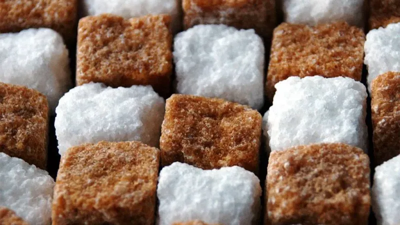 "الدلتا للسكر": ارتفاع توريد محصول بنجر السكر إلى 985 ألف طن