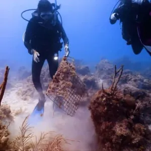 مشهد صادم يظهر ما عثر عليه غواصون في قاع المحيط