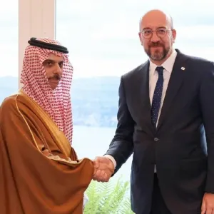 وزير الخارجية يستعرض العلاقات التاريخية مع رئيس المجلس الأوروبي