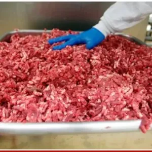 وباء جديد يطرق أبواب أمريكا بعد حملات لفحص اللحوم.. ما القصة