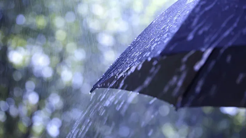 انخفاض متوسط ​​هطول الأمطار في تونس بنسبة 20 بالمائة خلال شهر فيفري 2024