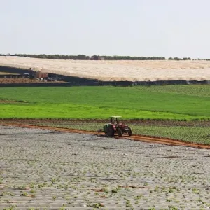 تقلص المساحات المزروعة جراء مواسم الجفاف يقلق الفلاحين في المغرب