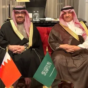 وزير التربية والتعليم يلتقي نظيره السعودي