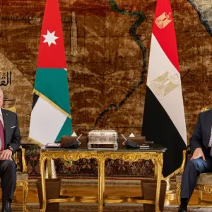 العاهل الأردني والرئيس المصري يحذران من خطورة استمرار الحرب على غزة