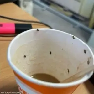 كادت تفقد حياتها في المطار.. السبب "قهوة بالحشرات"