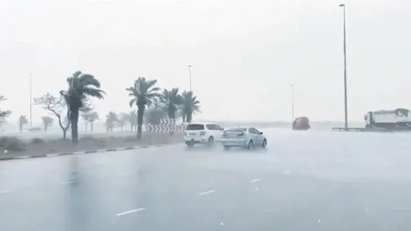 أمطار الخير تروي ربوع الإمارات.. واستجابة استباقية من أجهزة الدولة